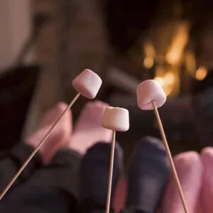Bamboo Skewer